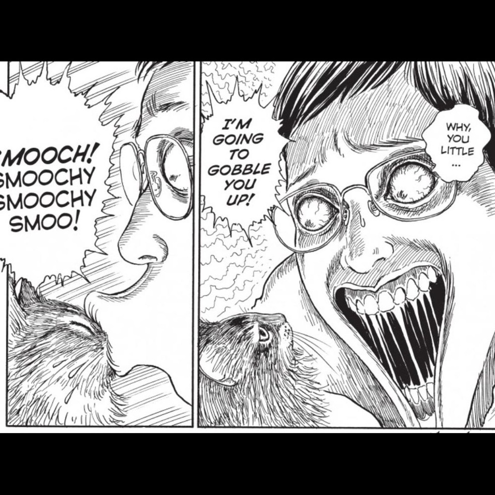 Meet your Posher, Mista